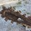 2012-ditch-witch-rt16-image-13