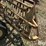 new-holland-56-image-15