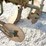 john-deere-2-image-8