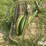 deere-350a-image-10