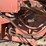 hesston-bp20-image-15