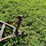 #5026-•-trailer-frame-image-12