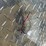 cargo-wells-image-13