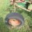 oliver-566-image-8