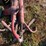 #5080-•-(3)-barrel-pumps-and-more-image-8