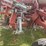 wil-rich-quad-5-image-13