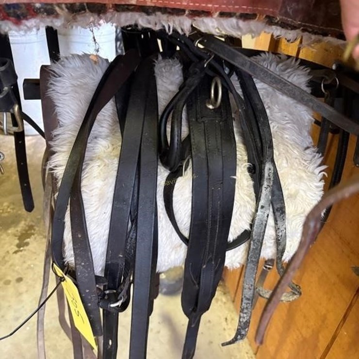 Partial Pony Sized Amish Driving Harness