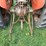 massey-ferguson-65-image-22