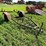 #5026-•-trailer-frame-image-3