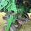 john-deere-16-image-53