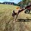 #1670-•-h&s-hi-capacity-wheel-rake-image-10