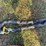 #5076-•-assorted-plumbing-fittings-image-4