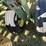 #1671-•-john-deere-23'-disc-image-26