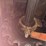 #140-•-wood-mizer-eg-430-edger-image-31