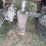 honda-fourtrax-250-image-6