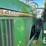 john-deere-6400-image-43