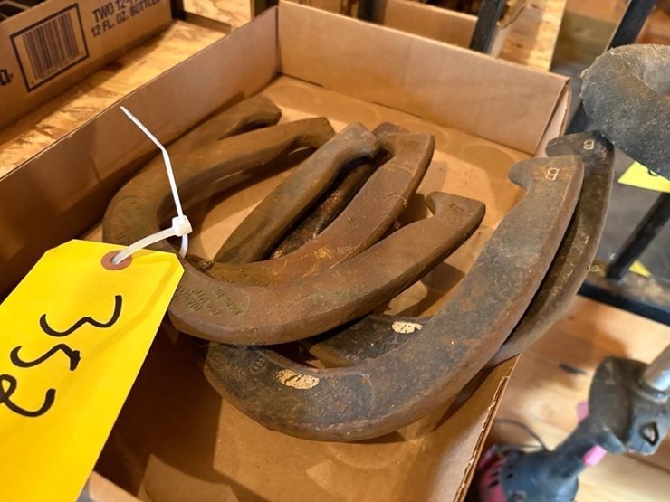 horseshoes-image-2