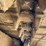 takeuchi-tl10-image-9
