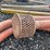 #1910-•-lot-of-(7)-hand-tools-image-9