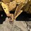 komatsu-d65ex-12-image-36