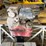 #1962-•-(5)-power-screed-sections-image-6