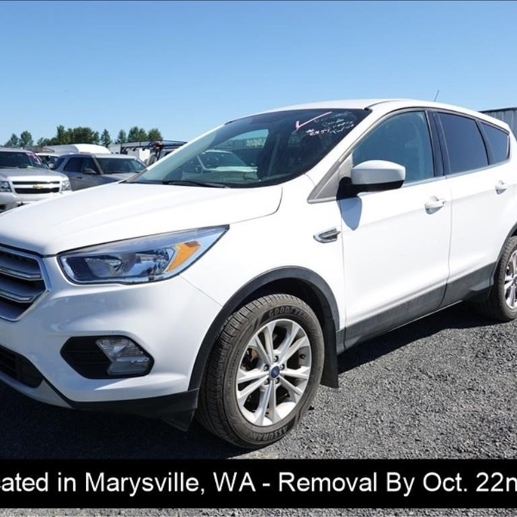 2019 FORD ESCAPE SE
