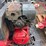 2010-dewalt-air-compressor-image-5