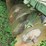 john-deere-15-image-5