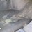 1999-ford-f450-image-33