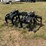 #410-•-blue-diamond-grapple-john-deere-quick-connect-image-1