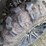 honda-fourtrax-300-image-11