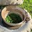 #5012-•-tractor-duals-image-13