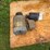 2hp-single-phase-motor-&-other-image-2