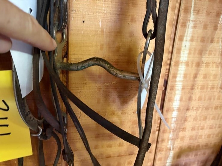 (4)-western-style-bridles-image-5