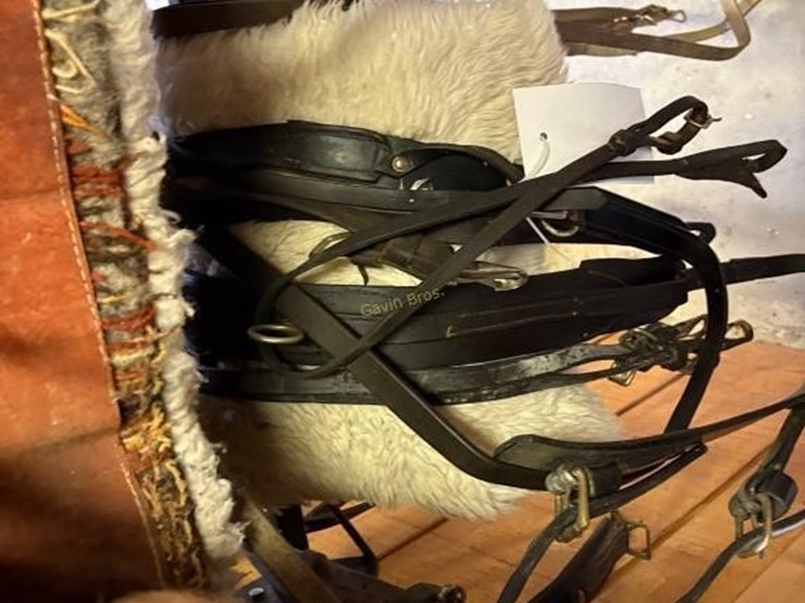partial-pony-sized-amish-driving-harness-image-2