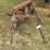 fast-hitch-3-bottom-plow-image-2