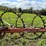 new-idea-7-image-9
