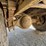 2013-ford-f750-xl-image-44