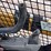 2023-caterpillar-259d3-image-22