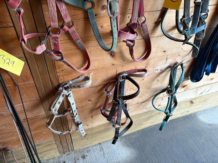halters-&-driving-lines-image-4