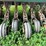 #5022-•-marliss-13'-grain-drill-image-12