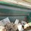 #5022-•-marliss-13'-grain-drill-image-19