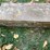 case-16-image-5