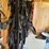 heavy-harness-for-1000lb-pair-image-2