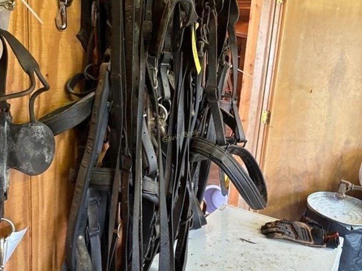 heavy-harness-for-1000lb-pair-image-2
