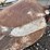 #1916-•-lot-of-(6)-hand-tools-image-5