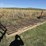 (2x)-16ft-x-8ft-cattle-guard-crossings-image-6