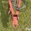 wil-rich-quad-5-image-9