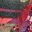 international-b-image-7