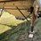 timpte-42'-hopper-image-13